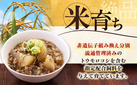 平田牧場 豚肉 3種セット 豚肉 詰め合わせ セット [AJAP009]