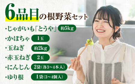 【2026年11月中旬以降順次発送】【先行予約】秋のうまいもん 6種 セット 詰め合わせ 野菜 たまねぎ じゃがいも 北海道 [AJAH024]