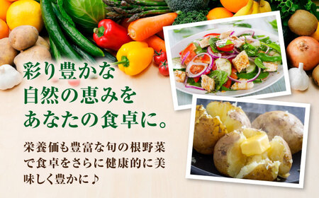 【2026年11月中旬以降順次発送】【先行予約】秋のうまいもん 6種 セット 詰め合わせ 野菜 たまねぎ じゃがいも 北海道 [AJAH024]