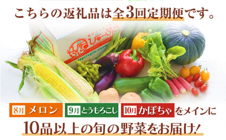 【2026年8月以降順次発送】【全3回定期便】【8～10月限定】 朝採れ 旬の野菜 詰め合わせ メロン  とうもろこし 北海道 [AJAH004]