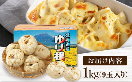 【先行予約】ゆり根 1kg ( 9玉・ギフト箱入り) ※2025年11月中旬以降順次発送 北海道 野菜 ギフト プレゼント 産地直送 お取り寄せ [AJAK018]