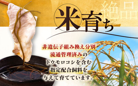 【全2回定期便】平田牧場 しゃぶしゃぶ セット 900g ロース ※だし・昆布付 豚肉 しゃぶしゃぶ 鍋 冷凍配送 [AJAP018]