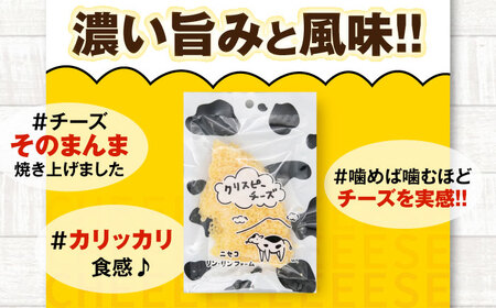 【全3回定期便】クリスピーチーズ 10袋 おつまみ 北海道 ビール ワイン 肴 常温配送 [AJAI016]