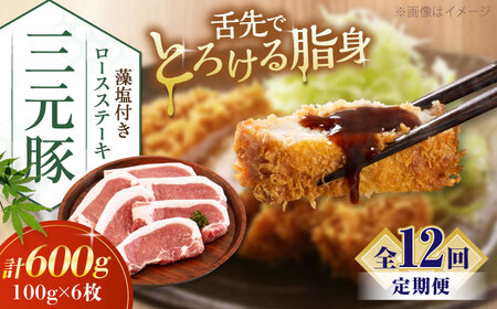 【全12回定期便】平田牧場 ロース ステーキ 600g  (100g×6枚) ※藻塩付 豚肉 とんかつ 生姜焼き[AJAP025]