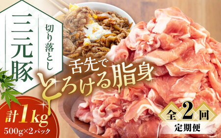 【全2回定期便】平田牧場 切り落とし 1kg (500g×2P)  豚肉 切り落とし 小分け [AJAP030]