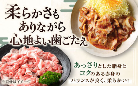 【全2回定期便】平田牧場 切り落とし 1kg (500g×2P)  豚肉 切り落とし 小分け [AJAP030]