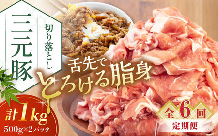 【全6回定期便】平田牧場 切り落とし 1kg (500g×2P)  豚肉 切り落とし 小分け [AJAP032]
