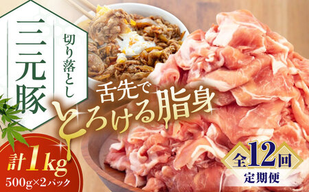 【全12回定期便】平田牧場 切り落とし 1kg (500g×2P)  豚肉 切り落とし 小分け [AJAP033]