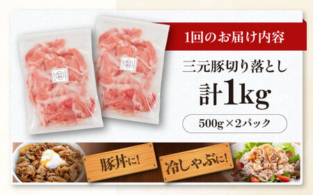【全12回定期便】平田牧場 切り落とし 1kg (500g×2P)  豚肉 切り落とし 小分け [AJAP033]