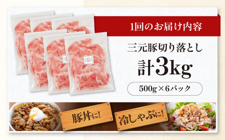 【全3回定期便】平田牧場 切り落とし 3kg (500g×6P)  豚肉 切り落とし 小分け [AJAP039]