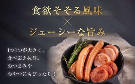 【全3回定期便】ソーセージ 3種セット ウインナー フランクフルト ハム ブロック 手作り 食べ比べ 詰め合わせ ギフト 冷蔵配送 北海道 [AJAI032]