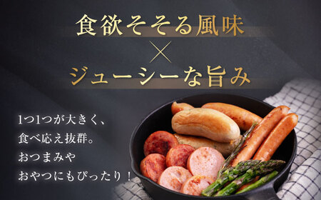 【全2回定期便】ソーセージ 5種セット ウインナー フランクフルト ハム ブロック 手作り 食べ比べ 詰め合わせ 冷蔵配送 北海道 [AJAI035]