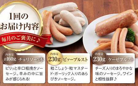 【全2回定期便】ソーセージ 5種セット ウインナー フランクフルト ハム ブロック 手作り 食べ比べ 詰め合わせ 冷蔵配送 北海道 [AJAI035]