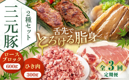 【全3回定期便】平田牧場 2種 セット 豚肉 詰め合わせ セット [AJAP043]