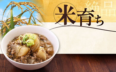 【全12回定期便】平田牧場 2種 セット 豚肉 詰め合わせ セット [AJAP045]