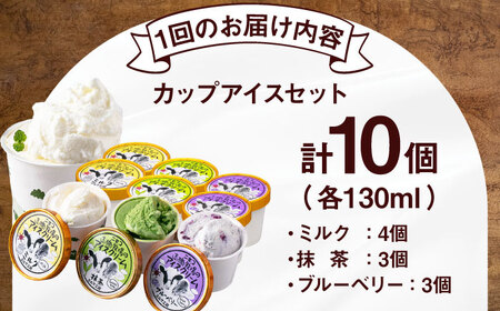 【全2回定期便】ミルク工房 カップ アイス セット 10個  ジェラート 抹茶 ブルーベリー 詰め合わせ 冷凍配送 北海道 [AJAI055]