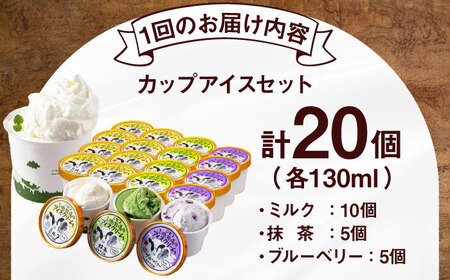 【全3回定期便】ミルク工房 カップ アイス セット 20個  ジェラート 抹茶 ブルーベリー 詰め合わせ 冷凍配送 北海道 [AJAI060]