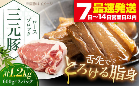 平田牧場 ロース ブロック 1.2kg (600g×2P)  角煮 豚肉 加工品  [AJAP071]