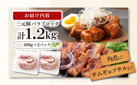 平田牧場 バラ ブロック1.2kg (600g×2P)  バラ 豚肉 国産 北海道 [AJAP073]