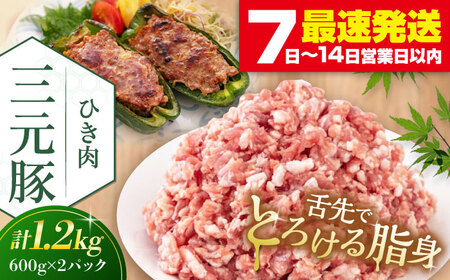 平田牧場 ひき肉 1.2kg (600g×2P) 豚肉 餃子 つくね [AJAP077]