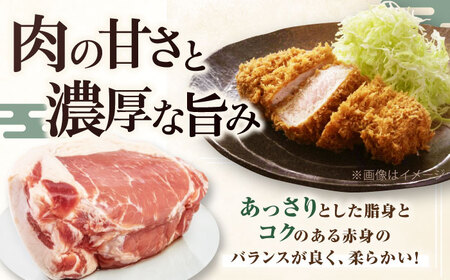 【全6回定期便】平田牧場 ロース ブロック 600g 豚肉 ローストポーク 煮豚 煮物 [AJAP096]