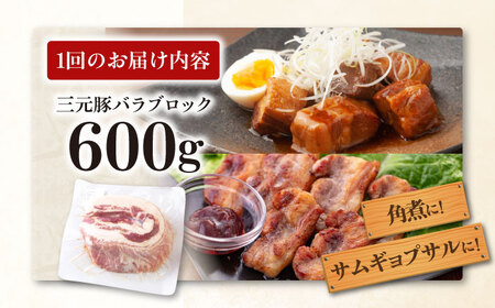 【全3回定期便】平田牧場 バラ ブロック 600g 豚肉 煮豚 [AJAP103]
