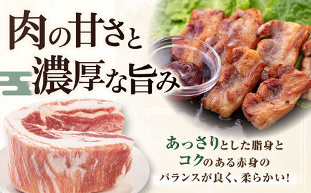 【全12回定期便】平田牧場 バラ ブロック 600g 豚肉 煮豚 [AJAP105]