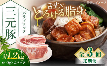 【全3回定期便】平田牧場 バラ ブロック 1.2kg (600g×2P) 豚肉 煮豚 [AJAP107]