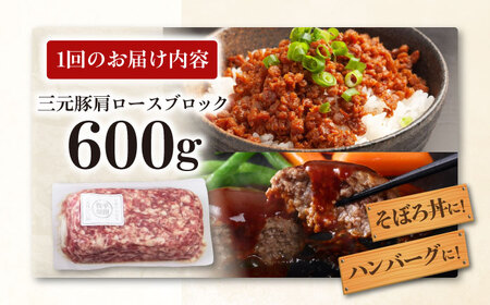 【全6回定期便】平田牧場 ひき肉 600g 豚肉 餃子 つくね [AJAP120]