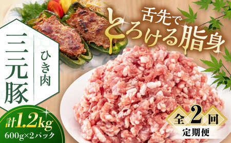 【全2回定期便】平田牧場 ひき肉 1.2kg (600g×2P) 豚肉 餃子 つくね [AJAP122]