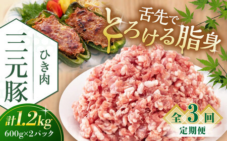 【全3回定期便】平田牧場 ひき肉 1.2kg (600g×2P)  豚肉 餃子 つくね [AJAP123]