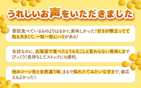 【北海道産】 自然甘ホールコーン 12缶（C7号缶）《喜茂別町》【きもべつ観光協会】 コーン コーン缶 とうもろこし トウモロコシ 北海道 常温 常温配送 [AJAG019] 9000 9000円