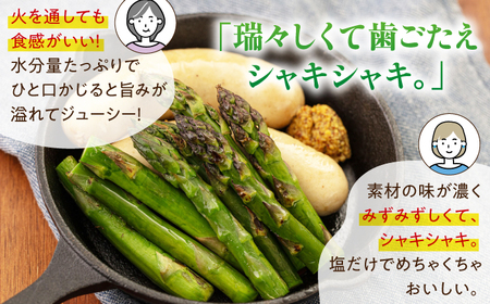 【2026年4月上旬以降順次発送】グリーンアスパラガス 1kg ( L以上/ハウス栽培) アスパラ  野菜 詰め合わせ 北海道 [AJAM011]