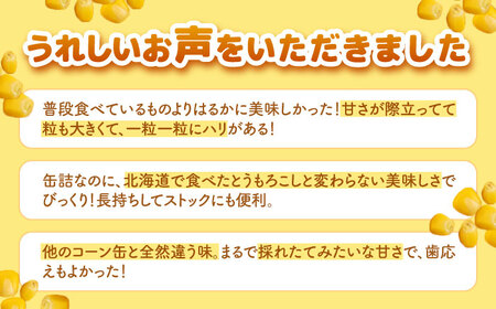 自然甘 ホールコーン 6缶【きもべつ観光協会】 缶詰 瓶詰 加工品 とうもろこし 北海道 常温配送 [AJAG020]