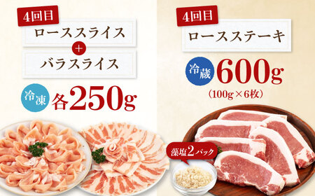 【全5回定期便】平田牧場 バラエティ定期便 2~3人前  豚肉 ロース バラ肉 ステーキ [AJAP126]