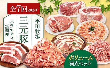 【全7回定期便】 平田牧場 バラエティ定期便  大容量セット  豚肉 ロース バラ肉 ステーキ [AJAP128]