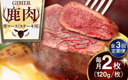 【全3回定期便】鹿肉 背ロース 2枚  ジビエ 赤身 冷凍配送 [AJAO068]