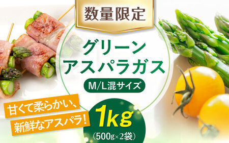 【先行予約】朝どりアスパラ M／L混サイズ 1kg 《喜茂別町》【ニセコビュープラザ直売会協同組合】 アスパラ アスパラガス [AJAH018]