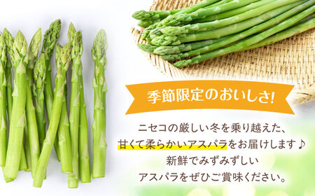 【先行予約】朝どりアスパラ M／L混サイズ 1kg 《喜茂別町》【ニセコビュープラザ直売会協同組合】 アスパラ アスパラガス [AJAH018]