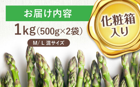 【先行予約】朝どりアスパラ M／L混サイズ 1kg 《喜茂別町》【ニセコビュープラザ直売会協同組合】 アスパラ アスパラガス [AJAH018]