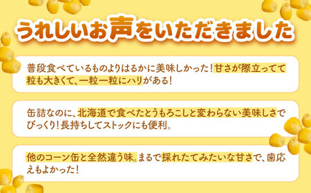 【全3回定期便】自然甘 ホールコーン 24缶【きもべつ観光協会】 缶詰 瓶詰 加工品 とうもろこし 北海道 常温配送 [AJAG024]