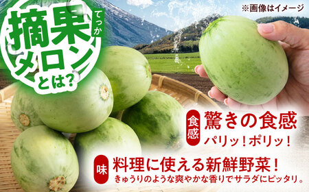 【2026年6月下旬以降順次発送】 摘果メロン 2kg メロン 野菜 先行予約 北海道 [AJAM012]