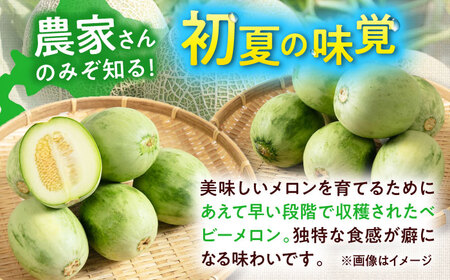 【2026年6月下旬以降順次発送】 摘果メロン 2kg メロン 野菜 先行予約 北海道 [AJAM012]