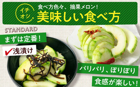 【2026年6月下旬以降順次発送】 摘果メロン 2kg メロン 野菜 先行予約 北海道 [AJAM012]