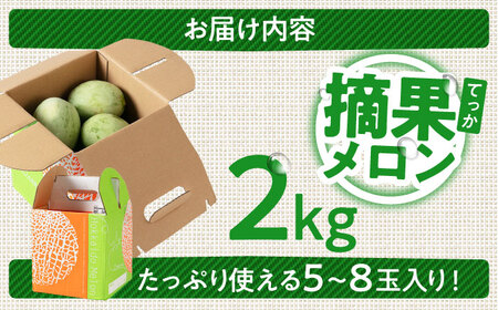【2026年6月下旬以降順次発送】 摘果メロン 2kg メロン 野菜 先行予約 北海道 [AJAM012]