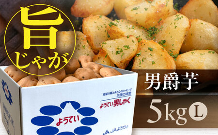 【ふるなびWEEK対象】じゃがいも 男爵芋 5kg じゃがいも FN-Limited-PR [AJAK027]
