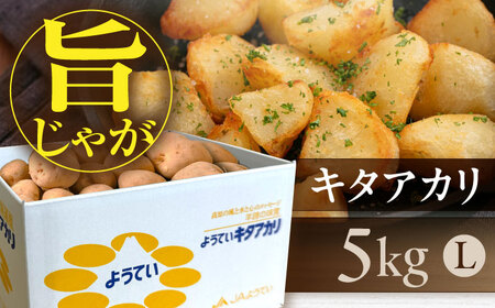 【9月下旬以降順次発送】キタアカリ 5kg じゃがいも [AJAK028]