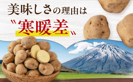 【ふるなびWEEK対象】【先行予約】 じゃがいも きたかむい 5kg 《喜茂別町》【Aコープようてい】 FN-Limited-PR [AJAK029]