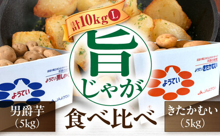 【先行予約】じゃがいも 食べ比べセット 10kg  《喜茂別町》【Aコープようてい】[AJAK033]