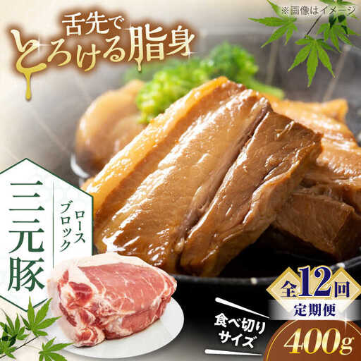 【全12回定期便】平田牧場 ロース ブロック 400g  豚肉 ローストポーク 煮豚 [AJAP168]